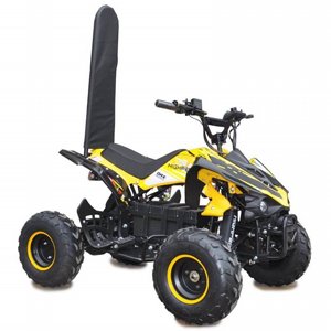     KING RIDER 60V        